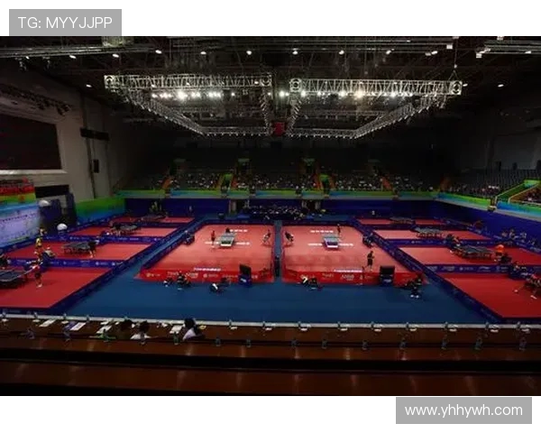 乒乓球激发全民运动热情的现代社会多维影响解析全景考察与启示录