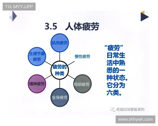 全面提升运动表现的科学方法与训练技巧探究:从基础到专业的全面指导 全面提升运动表现的科学方法与训练技巧探究:从基础到专业的全面指导