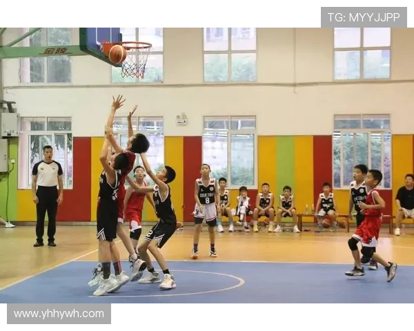 专业解读：重庆篮球队的中路突破打法