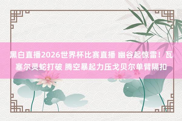 黑白直播2026世界杯比赛直播 幽谷起惊雷！瓦塞尔灵蛇打破 腾空暴起力压戈贝尔单臂隔扣