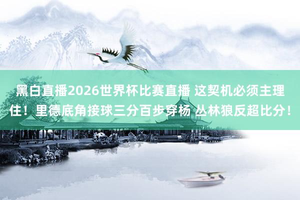黑白直播2026世界杯比赛直播 这契机必须主理住！里德底角接球三分百步穿杨 丛林狼反超比分！