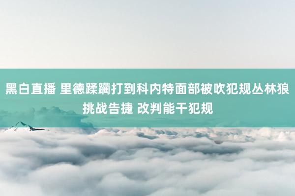 黑白直播 里德蹂躏打到科内特面部被吹犯规丛林狼挑战告捷 改判能干犯规