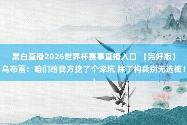 黑白直播2026世界杯赛事直播入口 【完好版】乌布雷:咱们给我方挖了个深坑 除了构兵别无选拔!