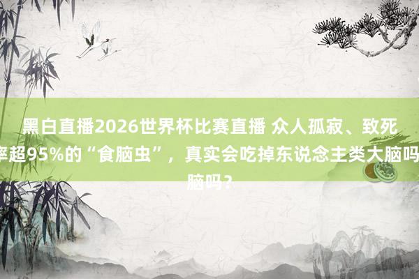 黑白直播2026世界杯比赛直播 众人孤寂、致死率超95%的“食脑虫”,真实会吃掉东说念主类大脑吗?