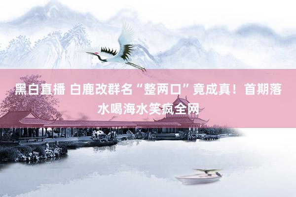 黑白直播 白鹿改群名“整两口”竟成真!首期落水喝海水笑疯全网