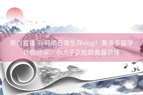 黑白直播 孙莉晒日常生存vlog！黄多多留学休假回家，小犬子正脸跟黄磊很像