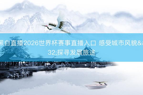黑白直播2026世界杯赛事直播入口 感受城市风貌 探寻发展旅途