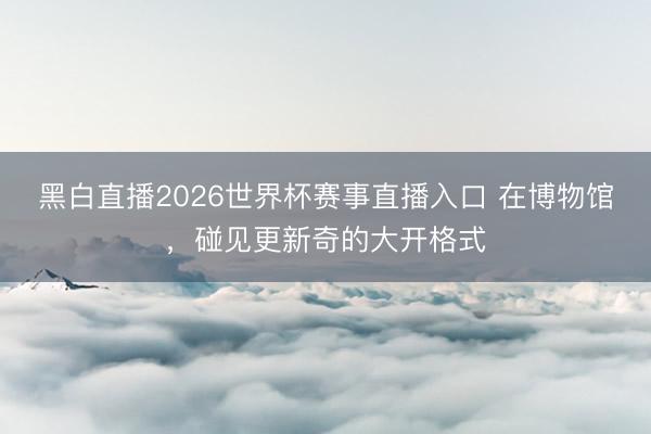 黑白直播2026世界杯赛事直播入口 在博物馆，碰见更新奇的大开格式