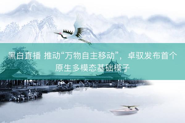 黑白直播 推动“万物自主移动”，卓驭发布首个原生多模态基础模子