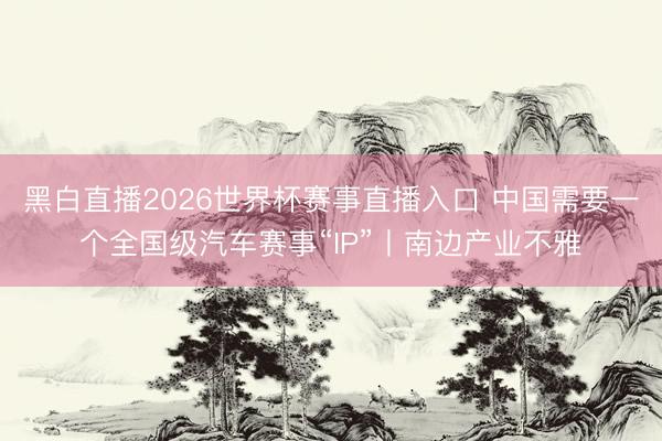 黑白直播2026世界杯赛事直播入口 中国需要一个全国级汽车赛事“IP”丨南边产业不雅