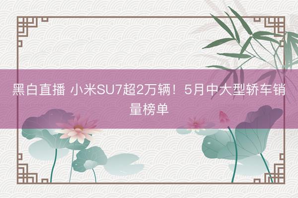 黑白直播 小米SU7超2万辆!5月中大型轿车销量榜单