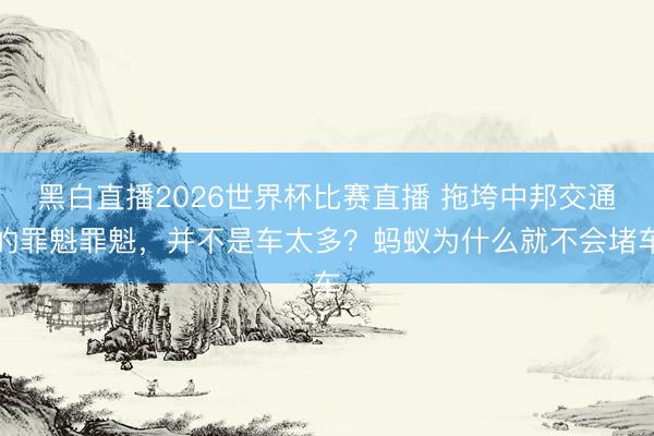 黑白直播2026世界杯比赛直播 拖垮中邦交通的罪魁罪魁,并不是车太多?蚂蚁为什么就不会堵车